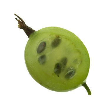 Olgun bektaşi üzümü yakın çekim