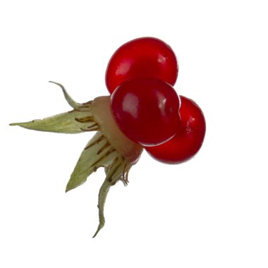 olgun bramble yakın