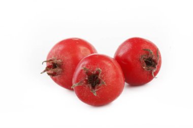 convallaria majalis yakın 