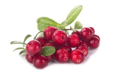 beyaz arka plan üzerinde izole olgun cowberries, yakın çekim  