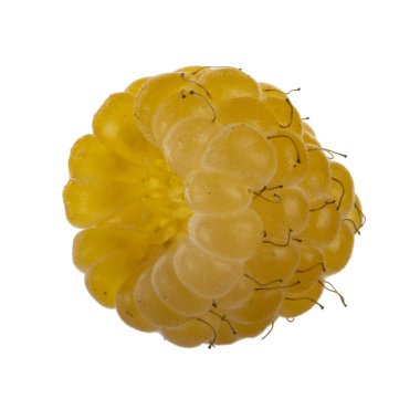 Olgun ahududu yakın çekim 