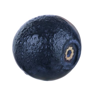 siyah böğürtlen beyaz arka plan üzerinde izole, yakın çekim