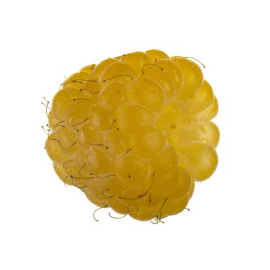 Olgun ahududu yakın çekim 