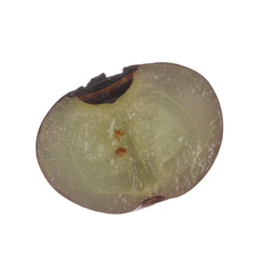 Olgun yaban mersinleri. Kapatın. 