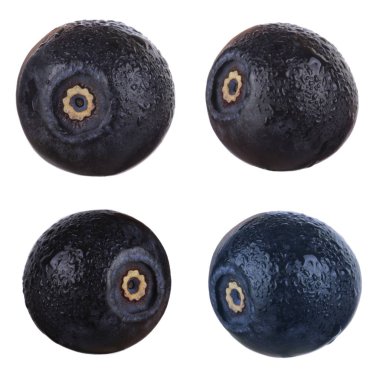 siyah bilberries beyaz arka plan üzerinde izole, yakın çekim