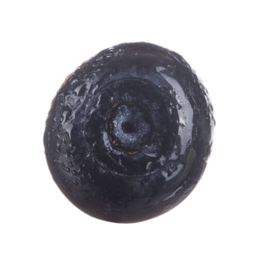 siyah böğürtlen beyaz arka plan üzerinde izole, yakın çekim