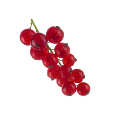 kuş üzümü berry yakın