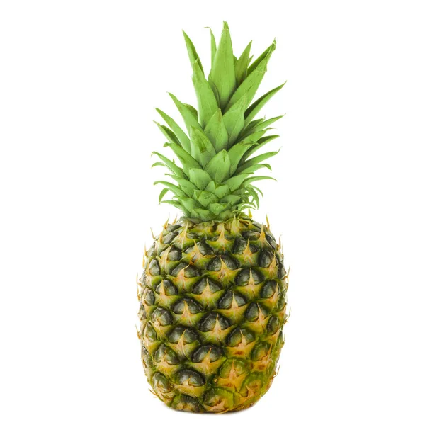 Ananas isoliert — Stockfoto