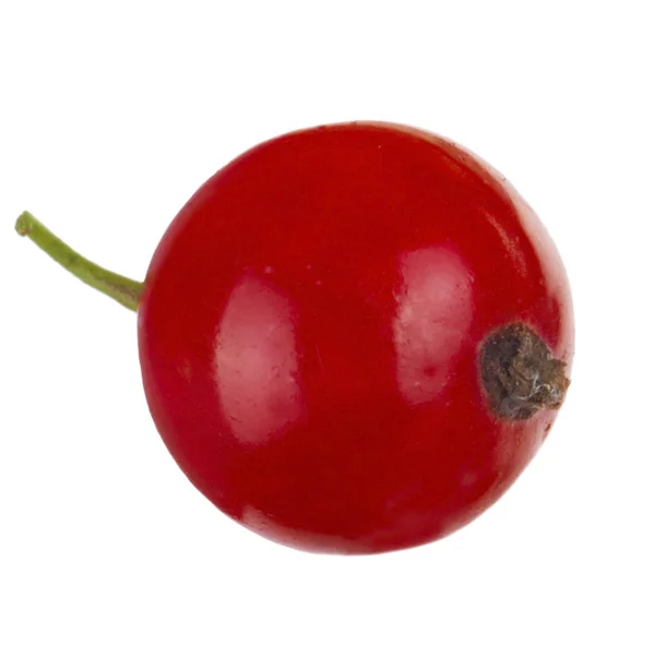 Johannisbeeren Aus Nächster Nähe — Stockfoto