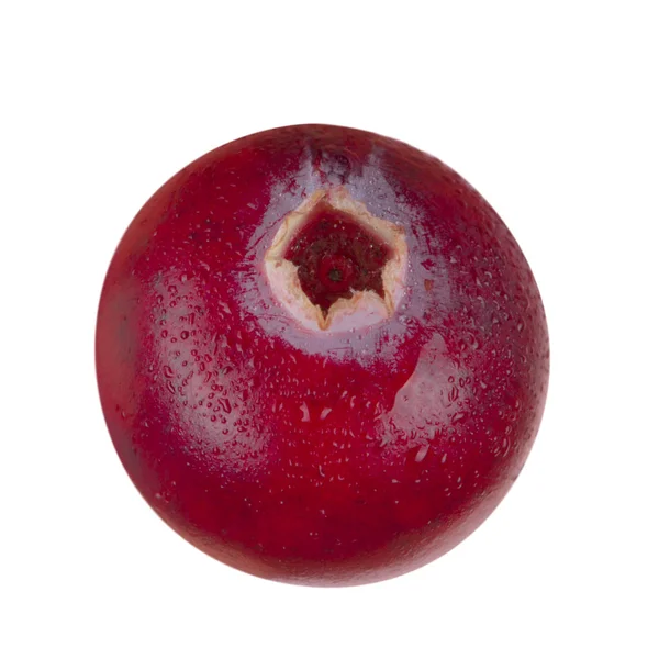 成熟的蔓越莓特写 — 图库照片