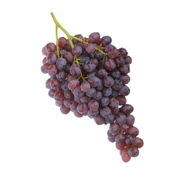 成熟的葡萄关门 — 图库照片