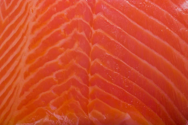 Salmon Fish Close — Stock Photo, Image