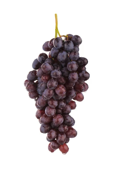 Ripe Grape Close — Stock Photo, Image