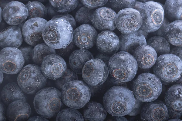 Reife Blaubeeren Aus Nächster Nähe — Stockfoto