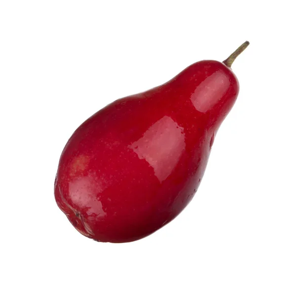 Obecný Cherry Zavřít — Stock fotografie