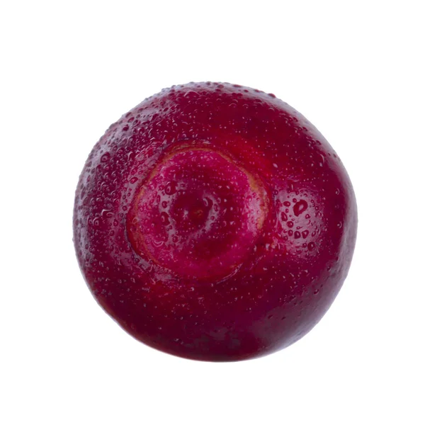 olgun bearberry yakın 