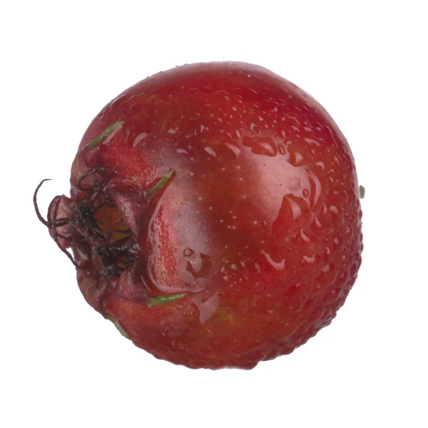 Hawthorn Berry Geïsoleerd Witte Achtergrond Close — Stockfoto