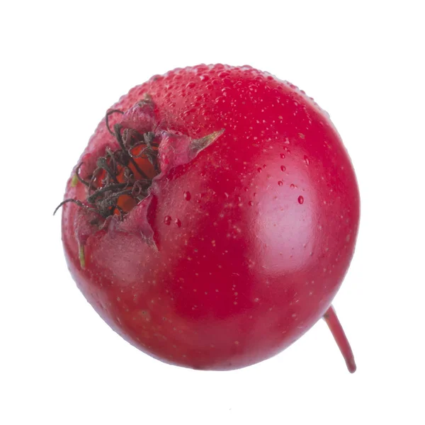 Hawthorn Berry Izolowane Białym Tle Zbliżenie — Zdjęcie stockowe