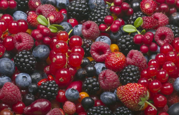 Delicious Berries Background Close — Stock Photo, Image