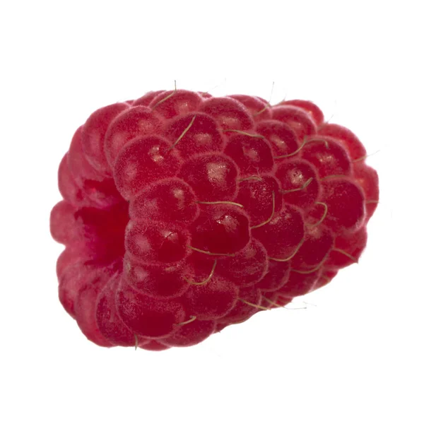 Reife Himbeeren Aus Nächster Nähe — Stockfoto