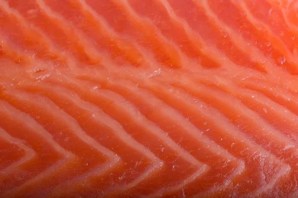 Salmon Fish Close — Stock Photo, Image