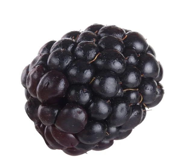 olgun tatlı böğürtlen beyaz arka plan izole, yakın çekim 