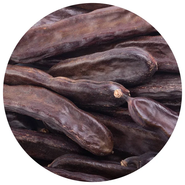 arka planda kuru keçiboynuzu, yakın