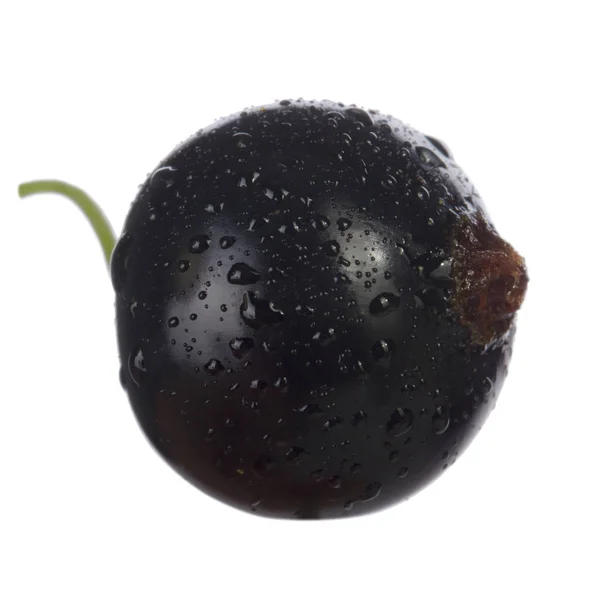 Johannisbeeren Aus Nächster Nähe — Stockfoto