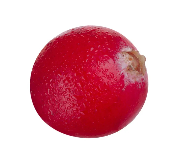 Rijpe Cranberry Close — Stockfoto