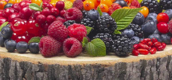 Deliciosas Bayas Fondo Cerca — Foto de Stock