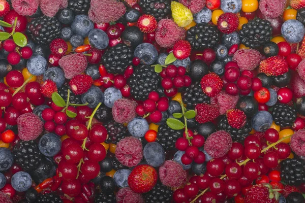 arka planda lezzetli meyveleri, yakın