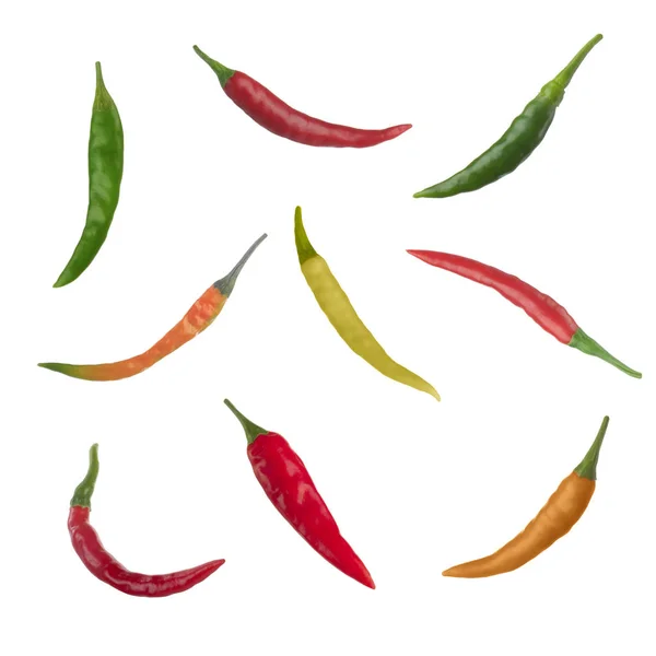 Barwna Papryka Chili Białym Tle — Zdjęcie stockowe