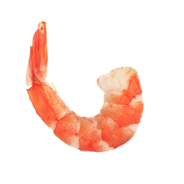 Boiled Prawn Isolated White Background — Stock Photo, Image