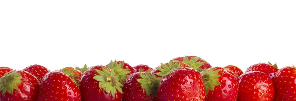 野草莓关闭 — 图库照片