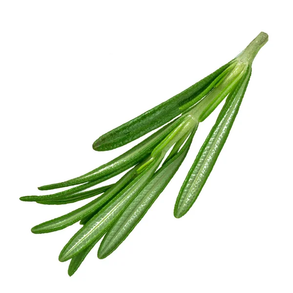 Beyaz arka planda izole biberiye closeup