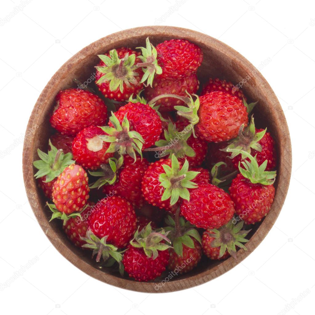 Wild Strawberry close up 