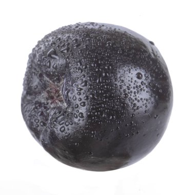 olgun ashberry yakın 