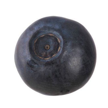 siyah böğürtlen beyaz arka plan üzerinde izole, yakın çekim