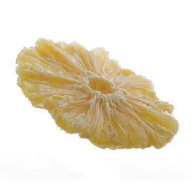 izole ananas kurutulmuş dilim