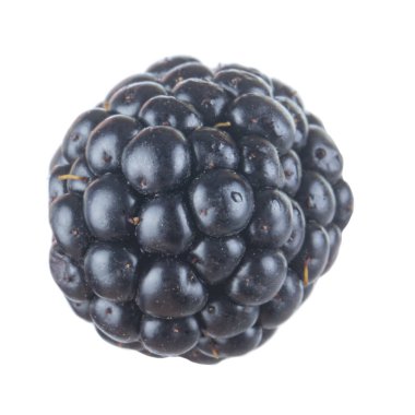 olgun tatlı böğürtlen beyaz arka plan izole, yakın çekim 