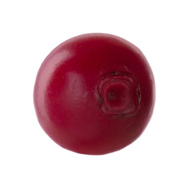 olgun bearberry yakın 