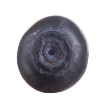 beyaz arka plan üzerinde izole olgun siyah bilberry 