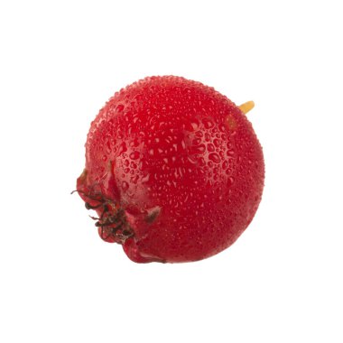 Beyaz arka planda izole alıç berry, yakın çekim 