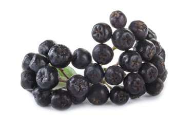 olgun ashberry yakın 