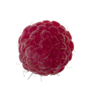 Olgun ahududu yakın çekim 