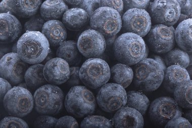 Olgun yaban mersinleri. Kapatın. 