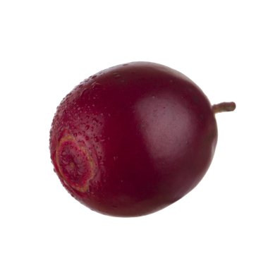 olgun bearberry yakın 