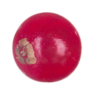 kuş üzümü berry yakın