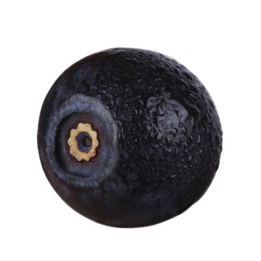 beyaz arka plan üzerinde izole olgun siyah bilberry 