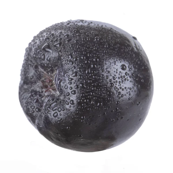 olgun ashberry yakın 